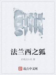 法兰西之狐epub