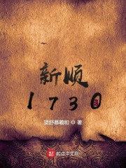 新顺1730txt下载奇书网