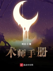 术师手册无弹窗