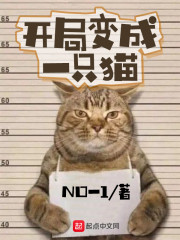 开局一只猫 小说