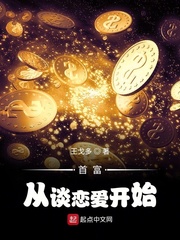 首富来了:从创业到富豪作者:氪金选手