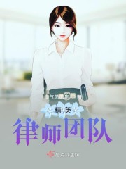 精英律师里的律师事务所叫什么