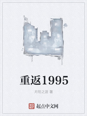 重返1995作者:月阳之涯