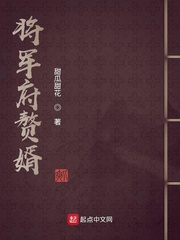 将军府无能赘婿