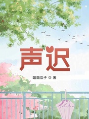 小说潇潇雨声迟