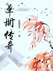 传奇单机版攻略大全