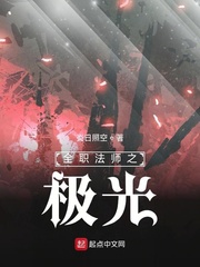 全职法师之极光之神松鼠贵