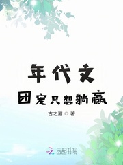 团宠小说年代文