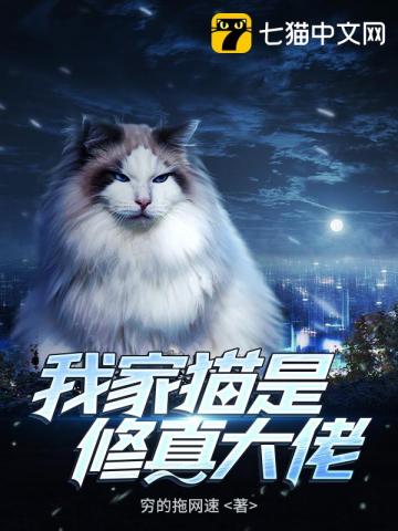 我家猫是修真大佬 为什么不更了