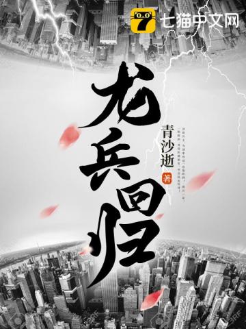 龙兵归来林肖小说